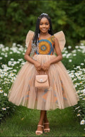 Little Princess Net Ball Dress