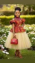 Little Princess Net Ball Dress