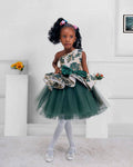 Little Princess Net Ball Dress